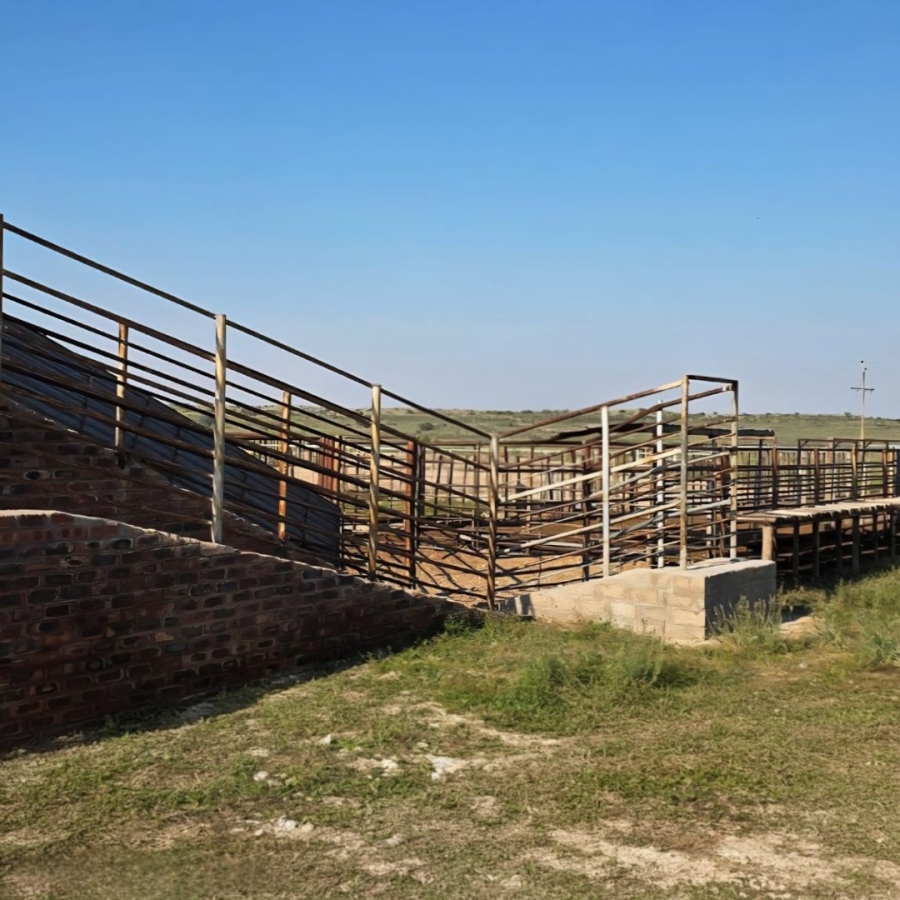 Commercial Property for Sale in Van Zylsrus Northern Cape